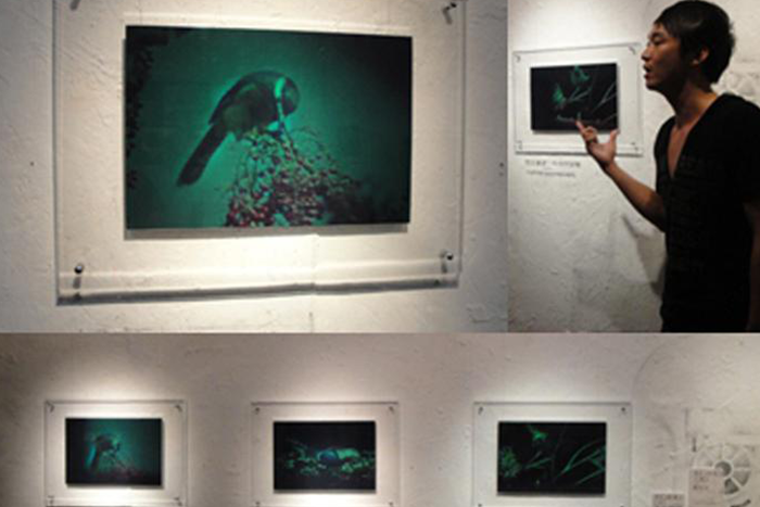全像實驗室-立體全像與生態藝術創作~「鳥」視界